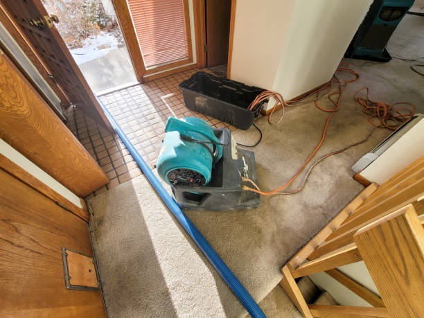 Best Mold removal after water damage  in Bermuda Run, NC