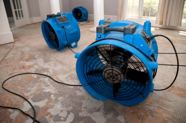 Best Flooded house restoration  in Bermuda Run, NC