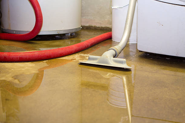 Best Mold removal after water damage  in Bermuda Run, NC