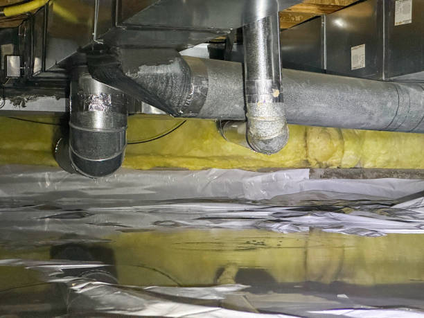 Best Sewage cleanup and water damage restoration  in Bermuda Run, NC