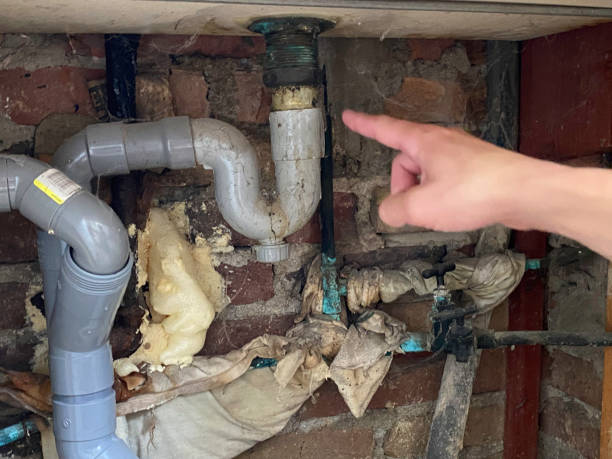 Best Carpet water damage restoration  in Bermuda Run, NC
